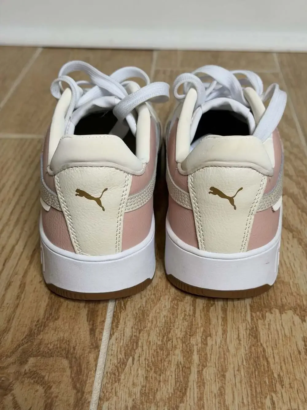 Puma carina street